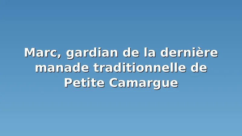 Marc, gardian de la dernière manade traditionnelle de Petite Camargue